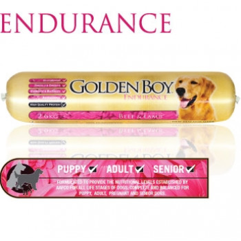 Golden Boy Endurance (2.6kg)
