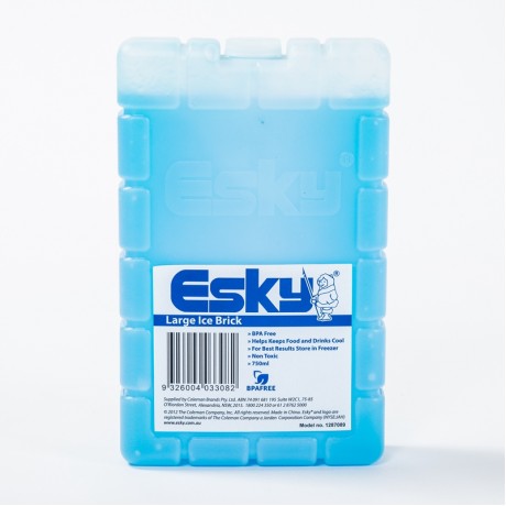 Esky 750 毫升冰磚 (IceBrick)